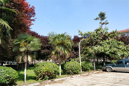 城东墨香圣府3室2厅1卫142万130m2出售